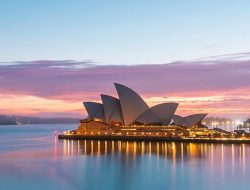 Palu dan Paku: Renungan tentang Keterbatasan Perspektif