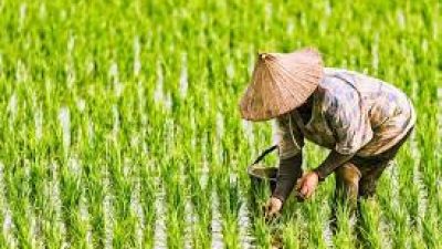 Catatan Peringatan Hari Buruh