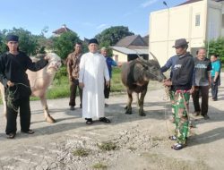 Qurban Sang Pejuang Umat: Muhammad Hoerudin Amin Tebar Cinta di Pesantren Peradaban Al-Amin