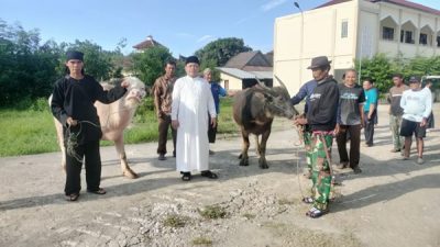 Qurban Sang Pejuang Umat: Muhammad Hoerudin Amin Tebar Cinta di Pesantren Peradaban Al-Amin