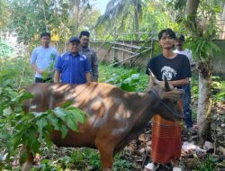 Makna Qurban, Jejak Pengabdian: Muhammad Hoerudin Amin Tebar Kepedulian di Pesantren Darul Huda
