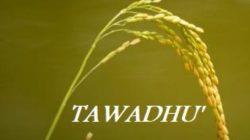 Tawadhu Sebagai Solusi