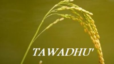 Tawadhu Sebagai Solusi