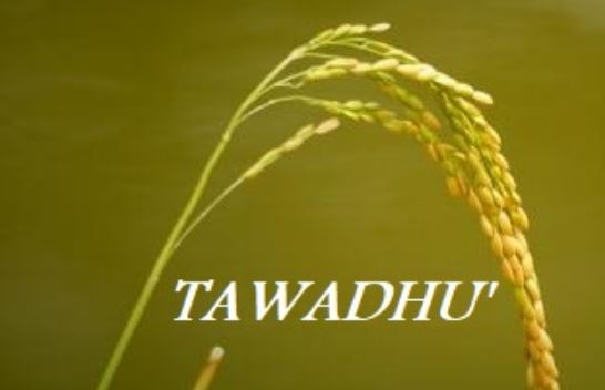 Tawadhu Sebagai Solusi