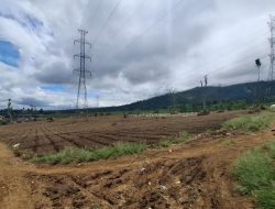 Pembabatan Kebun Teh di Pangalengan Memicu Dugaan Alih Fungsi Lahan Tak Berizin