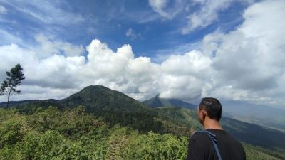 Demokrasi Indonesia 2025