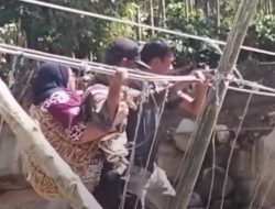 Cinta Anak yang Menggendong Ibunda di Atas Kayu Rapuh: Potret Ketangguhan di Tengah Bencana Banjir Sumatera
