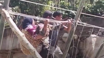 Cinta Anak yang Menggendong Ibunda di Atas Kayu Rapuh: Potret Ketangguhan di Tengah Bencana Banjir Sumatera