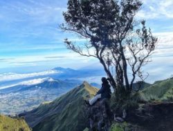 Luka yang Melahirkan Bahagia