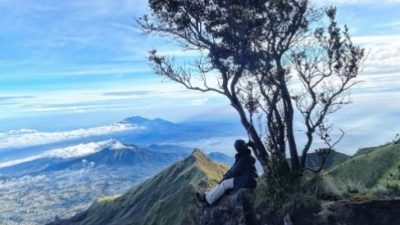 Luka yang melahirkan kebahagiaan