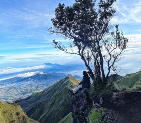 Luka yang melahirkan kebahagiaan
