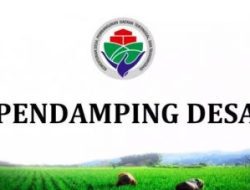 Ketika Desa Kehilangan Nadinya dan Urgensi Penguatan Pendamping Desa