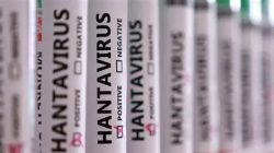 Ancaman Hantavirus di Indonesia